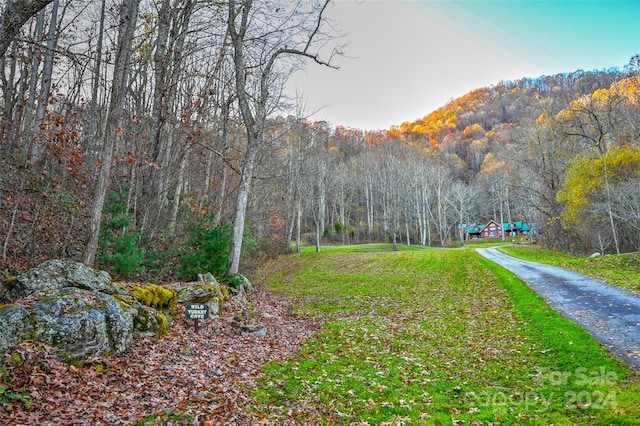 Listing photo 3 for 99999 S Turkey Creek Rd, Leicester NC 28748