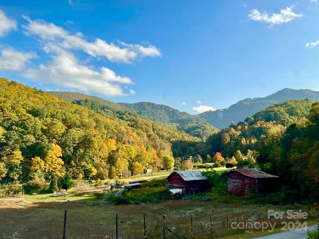 99999 S Turkey Creek Rd, Leicester, NC 28748 - photo 4