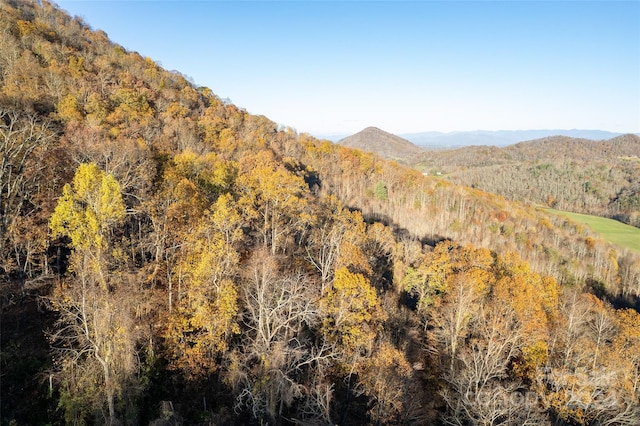 99999 S Turkey Creek Rd, Leicester, NC 28748 - photo 5