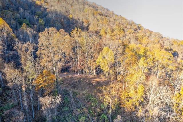 99999 S Turkey Creek Rd, Leicester, NC 28748 - photo 6