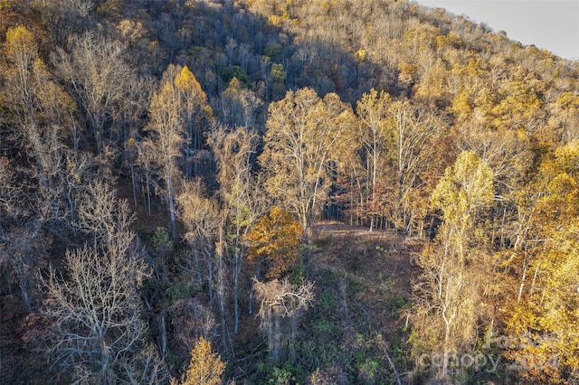 99999 S Turkey Creek Rd, Leicester, NC 28748 - photo 7