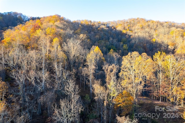 99999 S Turkey Creek Rd, Leicester, NC 28748 - photo 9