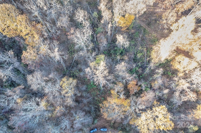 99999 S Turkey Creek Rd, Leicester, NC 28748 - photo 10