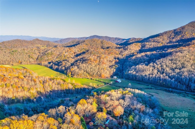 99999 S Turkey Creek Rd, Leicester, NC 28748 - photo 12