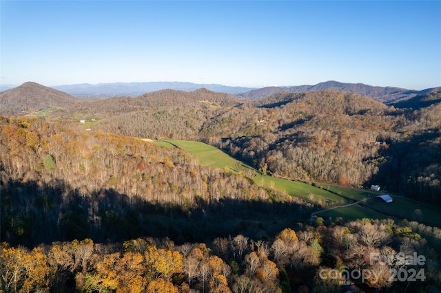 99999 S Turkey Creek Rd, Leicester, NC 28748 - photo 13