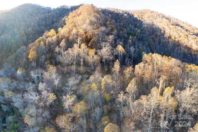 99999 S Turkey Creek Rd, Leicester, NC 28748 - photo 14