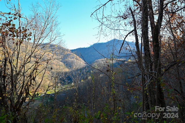 99999 S Turkey Creek Rd, Leicester, NC 28748 - photo 16