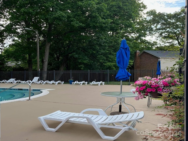 view of pool featuring a patio