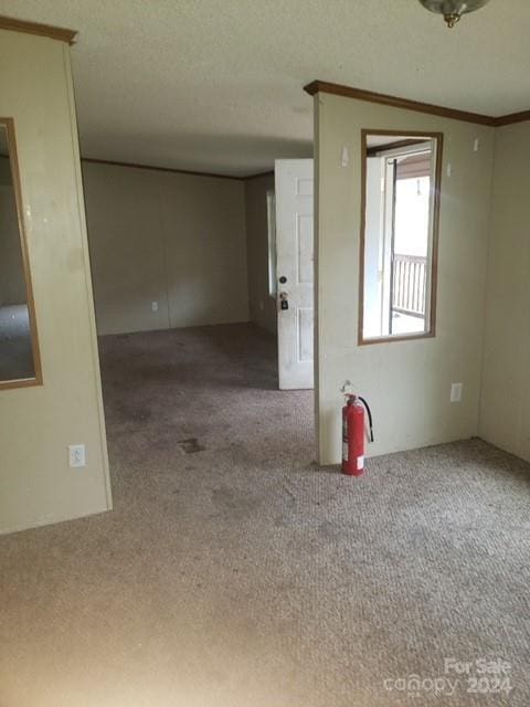 carpeted empty room featuring a textured ceiling and ornamental molding