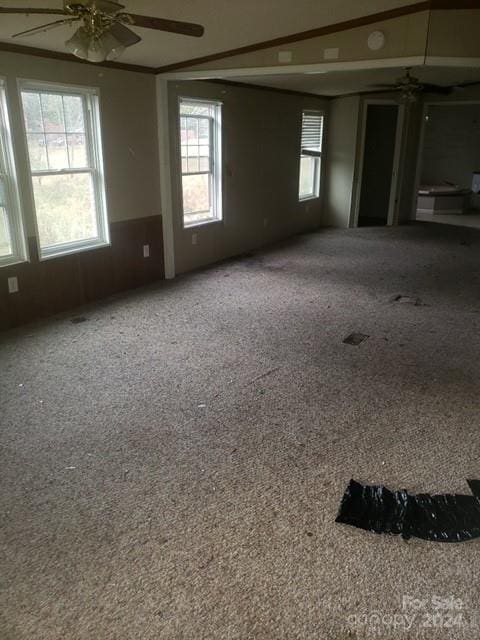 empty room with carpet flooring, plenty of natural light, and ceiling fan