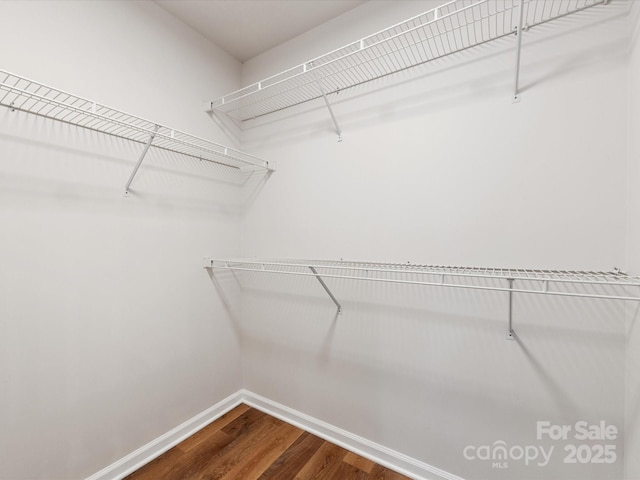 walk in closet featuring wood-type flooring