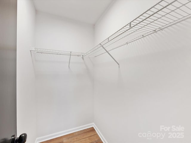 walk in closet with wood-type flooring