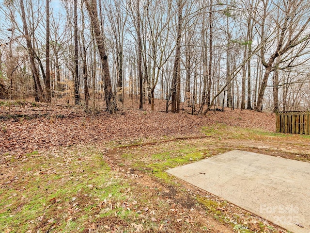 view of yard featuring a patio area