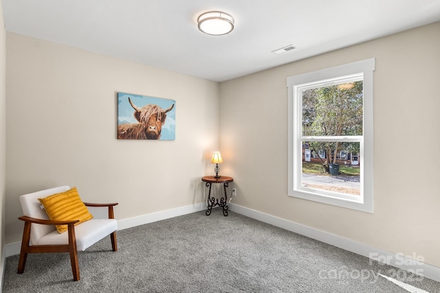 living area featuring carpet flooring