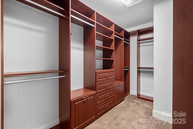 spacious closet featuring light carpet