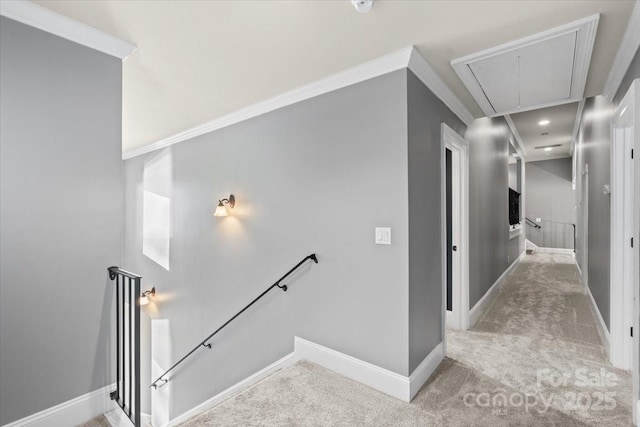 staircase with carpet floors and ornamental molding