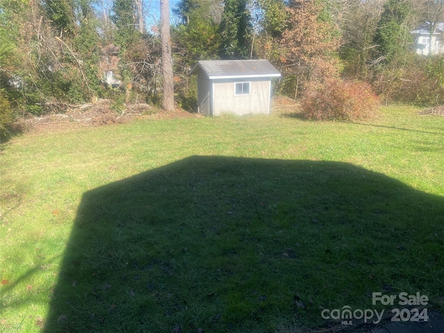 view of yard with a storage unit