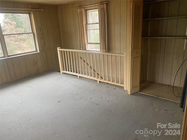 empty room with carpet floors, a wealth of natural light, and wooden walls