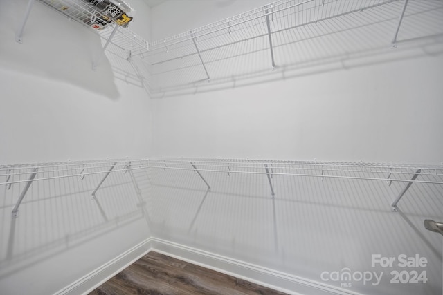 spacious closet featuring dark wood-type flooring