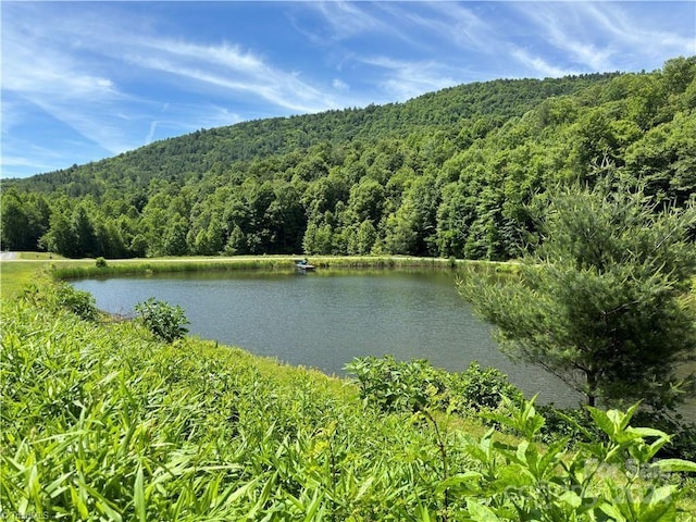 water view