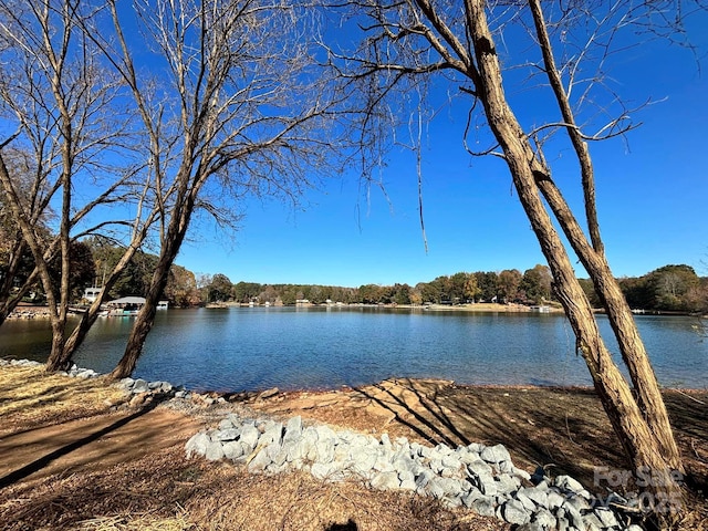 property view of water