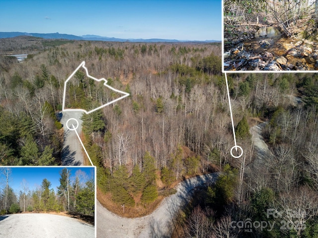 999 Harborside Dr, Nebo, NC 28761