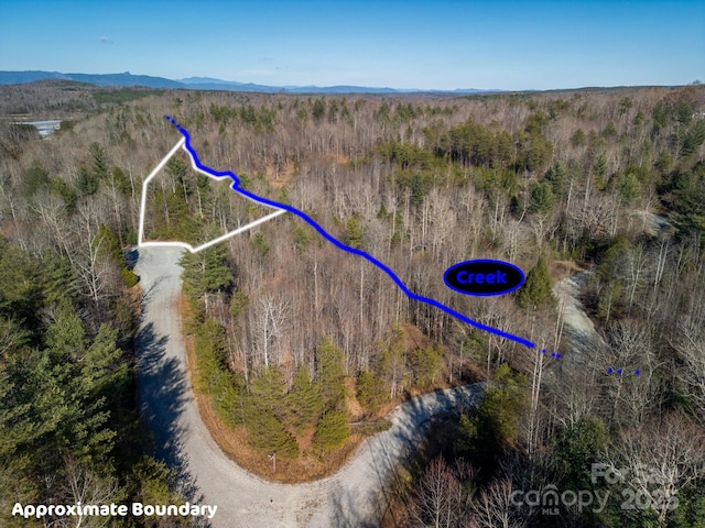 999 Harborside Dr, Nebo, NC 28761