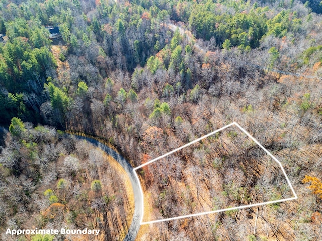 999 Harborside Dr, Nebo, NC 28761