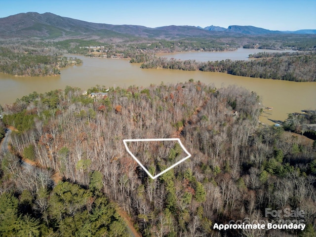 999 Harborside Dr, Nebo, NC 28761