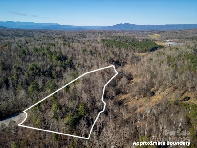 999 Harborside Dr, Nebo, NC 28761