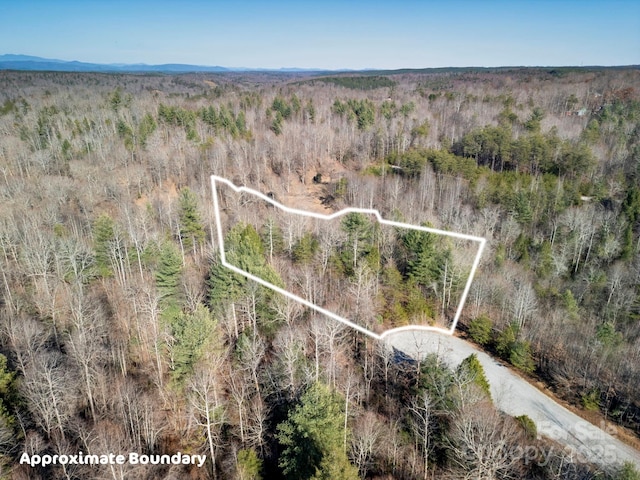 999 Harborside Dr, Nebo, NC 28761