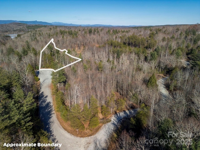 999 Harborside Dr, Nebo, NC 28761