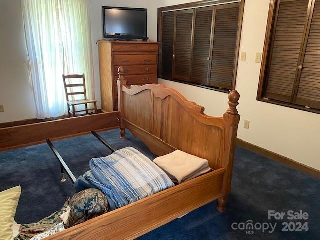 carpeted bedroom with a closet