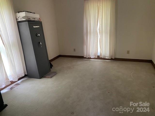 empty room featuring carpet and plenty of natural light