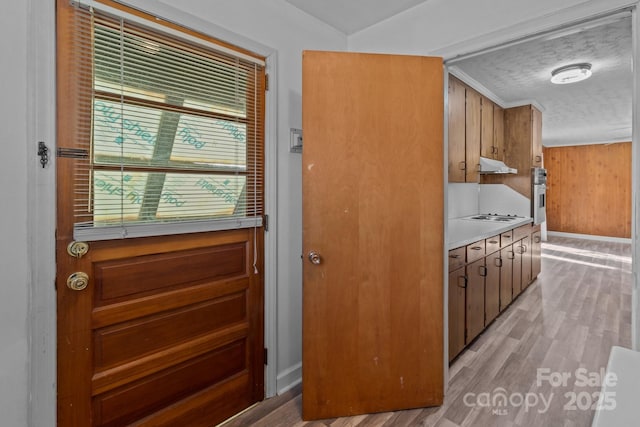 doorway to outside with wood walls, light wood-style flooring, and baseboards