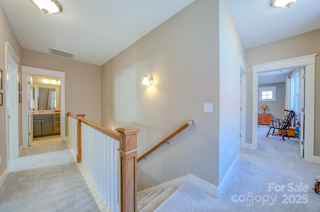 stairway featuring carpet floors