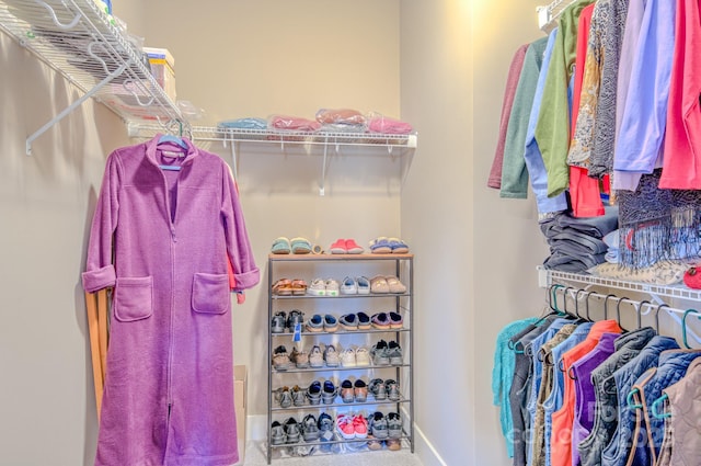 spacious closet featuring carpet flooring