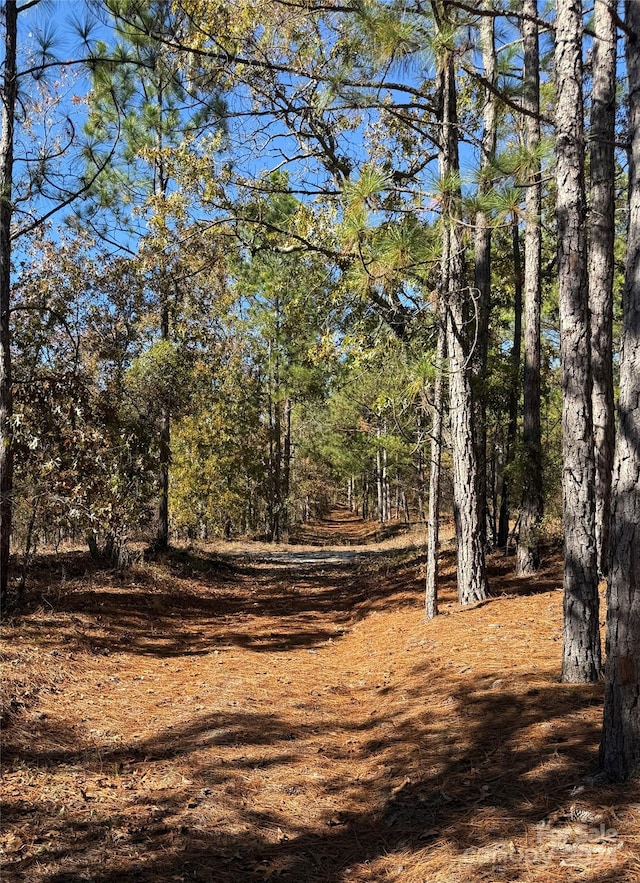 TBD Nivens Rd, Patrick SC, 29584 land for sale