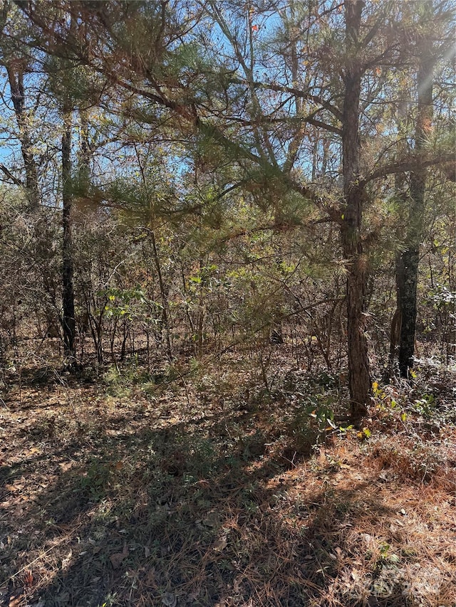 Listing photo 2 for TBD Nivens Rd, Patrick SC 29584