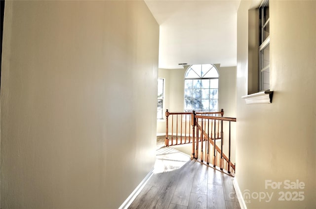 hallway featuring wood-type flooring