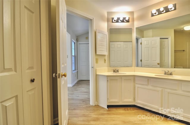 bathroom with vanity and wood-type flooring