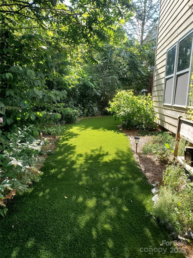 view of green lawn