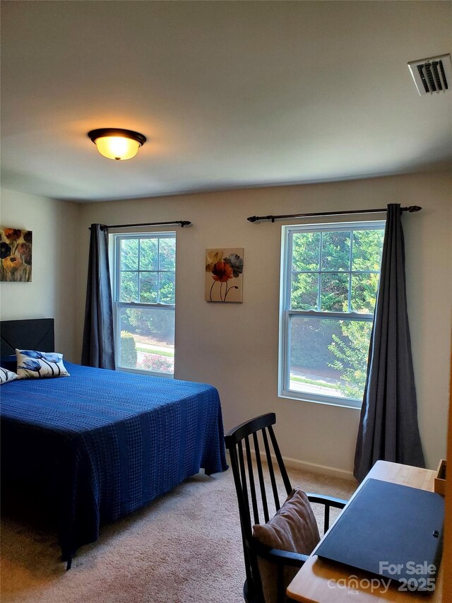 13112 Appolinaire Dr, Davidson, NC 28036 - photo 15