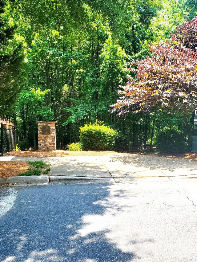 13112 Appolinaire Dr, Davidson, NC 28036 - photo 24