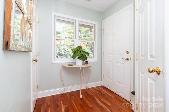 doorway to outside featuring wood-type flooring