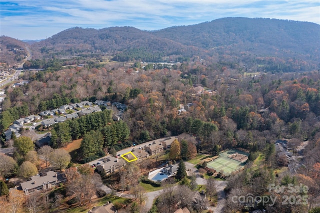 9 Timberlake Dr, Asheville, NC 28803 - photo 29