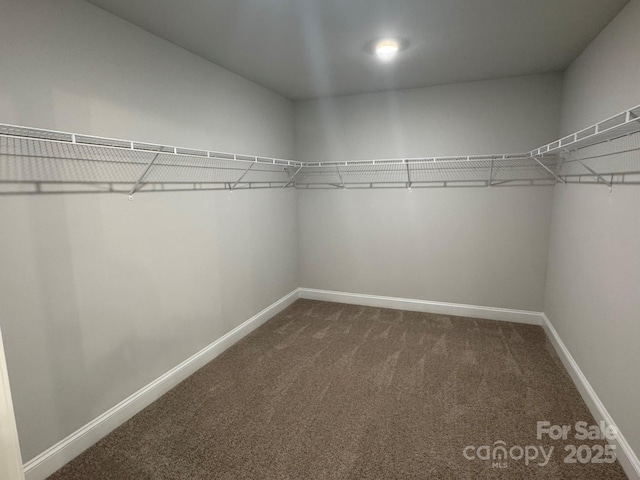 walk in closet featuring dark carpet