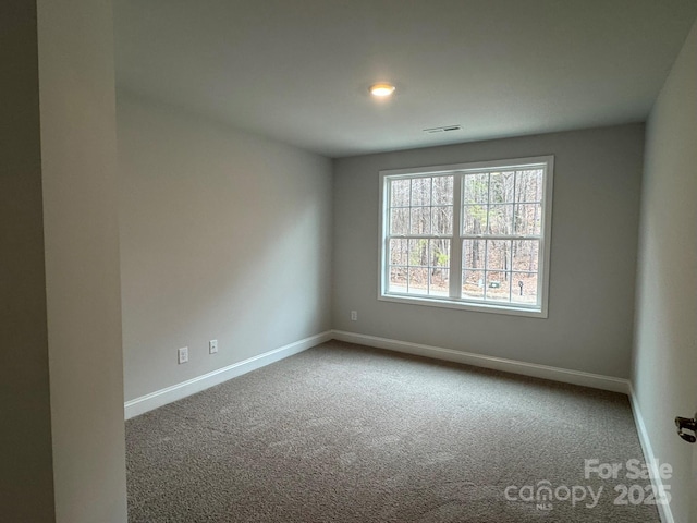 unfurnished room featuring carpet floors