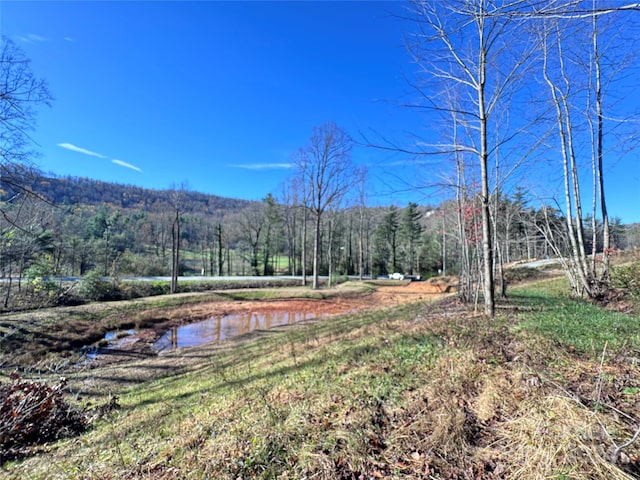 3200 Greenville Hwy, Flat Rock NC, 28731 land for sale