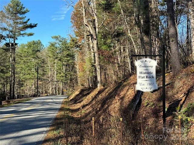 3200 Greenville Hwy, Flat Rock, NC 28731 - photo 3